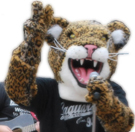 Jerry the Jaguar saluting